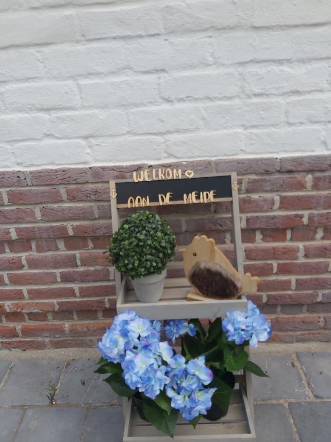 Aan De Meipe Apartment De Panne Luaran gambar